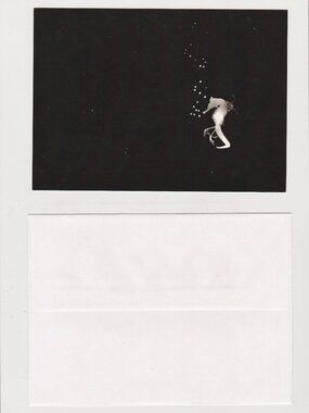 Specimen: Hippocampus anisodactylis POSTCARD (Photogram, 2012) 5x7